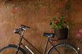 Bicycle with flower basket