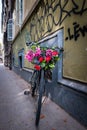 Bicycle with flowers in basket in front of urban graffiti wall Royalty Free Stock Photo