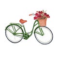 Bicycle with flowers isolated on white background .bicycle with flowers Hand painted Watercolor illustrations.