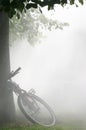 Bicycle in the fog