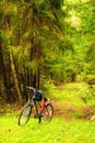 Bicycle in a forest