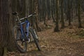 Bicycle in the forest, autume leaves around Royalty Free Stock Photo