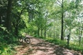 Bicycle on forest road in Chuncheon, Korea