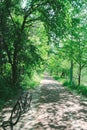 Bicycle on forest road in Chuncheon, korea