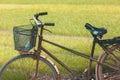 Bicycle in front of a rice field in Vietnam