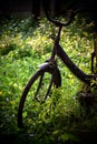 bicycle garden nature Royalty Free Stock Photo