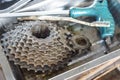 Bicycle gear cassette Royalty Free Stock Photo