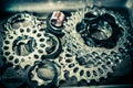 Bicycle gear cassette Royalty Free Stock Photo