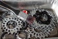 Bicycle gear cassette Royalty Free Stock Photo