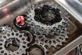 Bicycle gear cassette Royalty Free Stock Photo