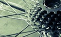 Bicycle gear cassette Royalty Free Stock Photo