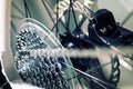 Bicycle gears Royalty Free Stock Photo