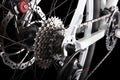 Bicycle gears, disc brake and rear derailleur