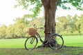 Bicycle on green grass under tree Royalty Free Stock Photo