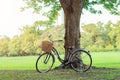 Bicycle on green grass under tree