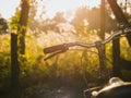 Bicycle hand Saddle Outdoor Summer meadows field sunrise