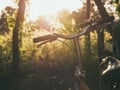 Bicycle hand Saddle Outdoor Summer meadows field sunrise