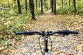 Bicycle handlebar at front of image. Autumn forest with colorful leaves on footpath.