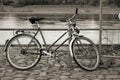 Bicycle by the River Elbe in Dresden