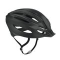 Bicycle Helmet Isolated Royalty Free Stock Photo