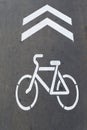 The Bicycle icon is drawn on the asphalt.