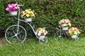 Bicycle inventor flowers Royalty Free Stock Photo