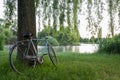 Bicycle in an italian garden