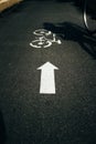 Bicycle lane with Bicycle Sign