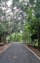 Bicycle lane in mangrove green area at Bangkrachao area Royalty Free Stock Photo
