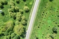 Bicycle lane and runner path in the summer park. aerial top view Royalty Free Stock Photo