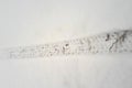 Bicycle lane in the snow. Horizontal photography. Royalty Free Stock Photo