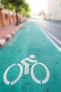 Bicycle lane symbol on the green painted asphalt Royalty Free Stock Photo