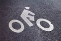 Bicycle Lane Symbol in New York City Royalty Free Stock Photo