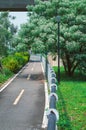 Bicycle lane in Taiwan, Beadtree, Bead Tree, city Royalty Free Stock Photo