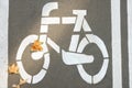 Bicycle lane with white sign painted on asphalt, top view Royalty Free Stock Photo