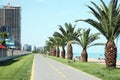 Bicycle lane with yellow dividing lines painted on asphalt Royalty Free Stock Photo