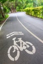 Bicycle Lanes in Park, Bangkok