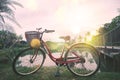 Bicycle on the lawn by the sunny pool and green trees in the outdoor park for the background