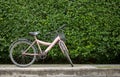 Bicycle on leaf wall background