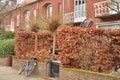 A bicycle leaning against a fence in front of a house with a red hedge Royalty Free Stock Photo