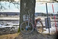 bicycle leaning against an old tree near road