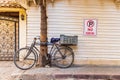 Bicycle locked to a tree in Cairo