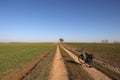 Bicycle on the long road surrounded by agricultural fields under the blue sky Royalty Free Stock Photo