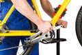 Bicycle mechanic tightening pedal Royalty Free Stock Photo