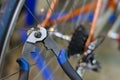 Bicycle mechanic in a workshop in the repair process, holds a tool in his hand Royalty Free Stock Photo