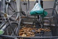 Bicycle with metal wire basket with some dry leaves in it. Saddle is covered with a plastic foil to protect it from rain.