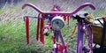 Bicycle in the middle of  lavender `s plantation  in provence Royalty Free Stock Photo