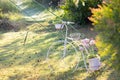 Bicycle model in the garden