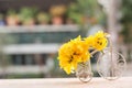 Bicycle Model And Yellow Flower, Selective Focus. Royalty Free Stock Photo