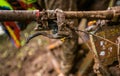 Bicycle MTB Mud condition Royalty Free Stock Photo